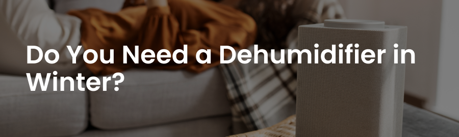 Do You Need a Dehumidifier in Winter? Here’s What You Should Know