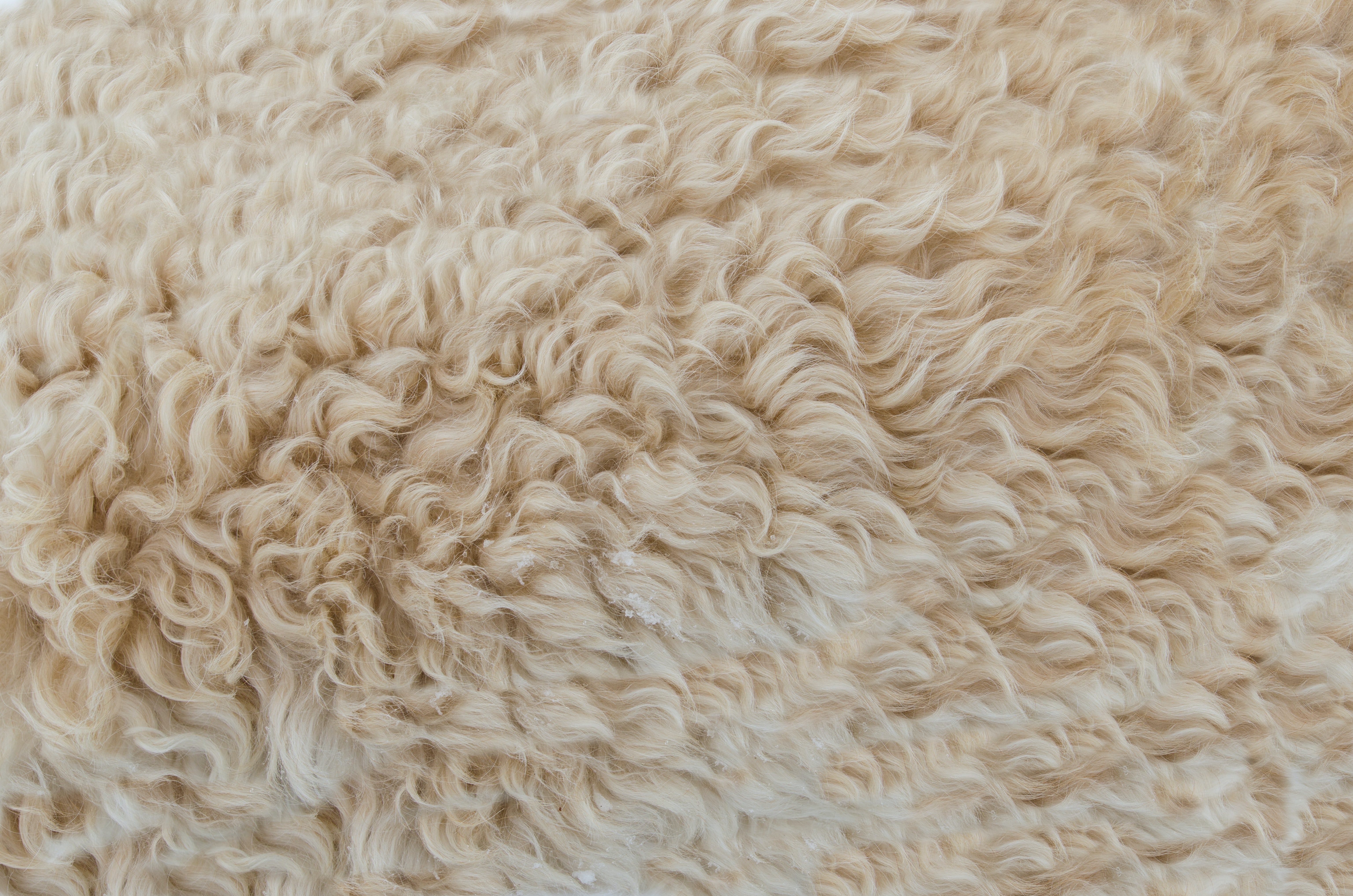 A close up of a beige fur rug